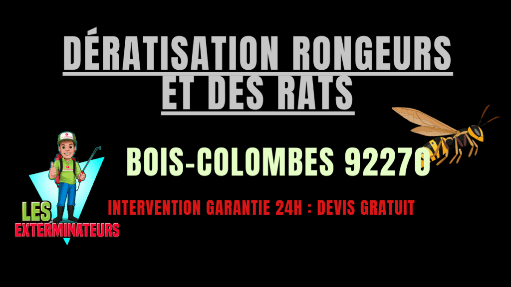 Dératisation rongeurs et des rats Bois-Colombes