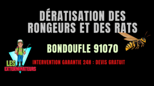 Dératisation des rongeurs et des rats Bondoufle
