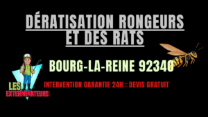 Dératisation rongeurs et des rats Bourg-la-Reine