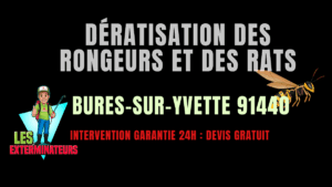 Dératisation des rongeurs et des rats Bures-sur-Yvette