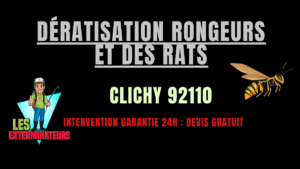 Dératisation rongeurs et des rats Clichy