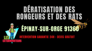 Dératisation des rongeurs et des rats Épinay-sur-Orge