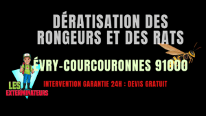 Dératisation des rongeurs et des rats Évry-Courcouronnes