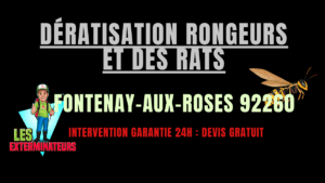Dératisation rongeurs et des rats Fontenay-aux-Roses