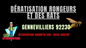 Dératisation rongeurs et des rats Gennevilliers