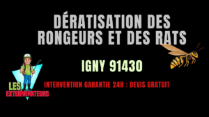 Dératisation des rongeurs et des rats Igny