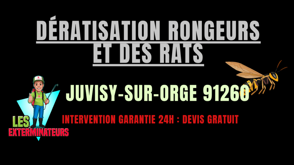 Dératisation rongeurs et des rats Juvisy-sur-Orge