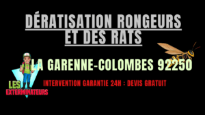 Dératisation rongeurs et des rats La Garenne-Colombes