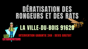 Dératisation des rongeurs et des rats La Ville-du-Bois