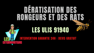 Dératisation des rongeurs et des rats Les Ulis