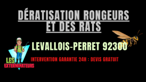 Dératisation rongeurs et des rats Levallois-Perret