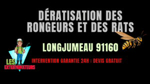 Dératisation des rongeurs et des rats Longjumeau