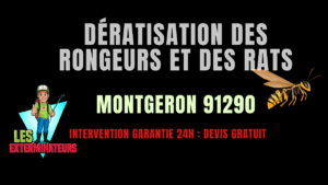 Dératisation des rongeurs et des rats Montgeron