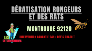 Dératisation rongeurs et des rats Montrouge