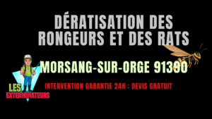 Dératisation des rongeurs et des rats Morsang-sur-Orge