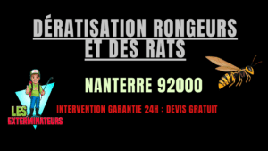 Dératisation rongeurs et des rats Nanterre