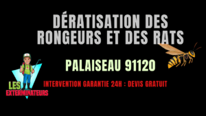 Dératisation des rongeurs et des rats Palaiseau