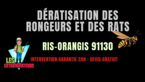 Dératisation des rongeurs et des rats Ris-Orangis