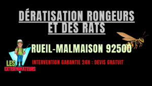 Dératisation rongeurs et des rats Rueil-Malmaison