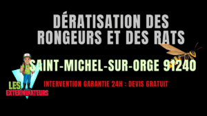 Dératisation des rongeurs et des rats Saint-Michel-sur-Orge