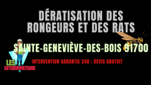 Dératisation des rongeurs et des rats Sainte-Geneviève-des-Bois