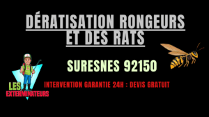 Dératisation rongeurs et des rats Suresnes