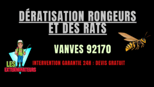 Dératisation rongeurs et des rats Vanves