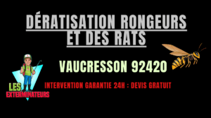 Dératisation rongeurs et des rats Vaucresson 92420