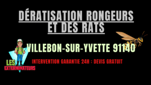 Dératisation rongeurs et des rats Villebon-sur-Yvette