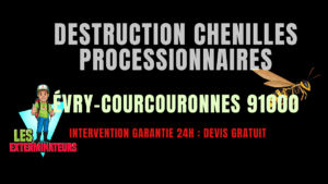 Chenilles processionnaires Évry-Courcouronnes