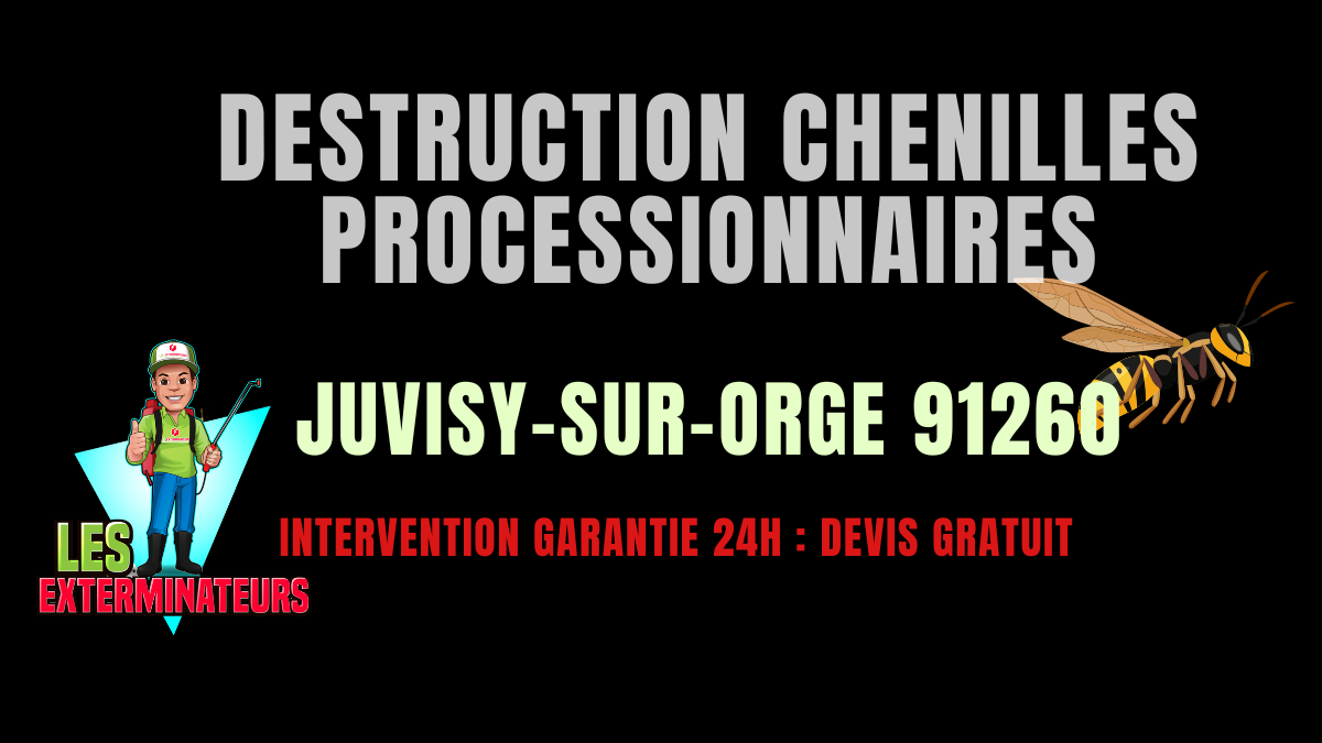 Chenilles processionnaires Juvisy-sur-Orge