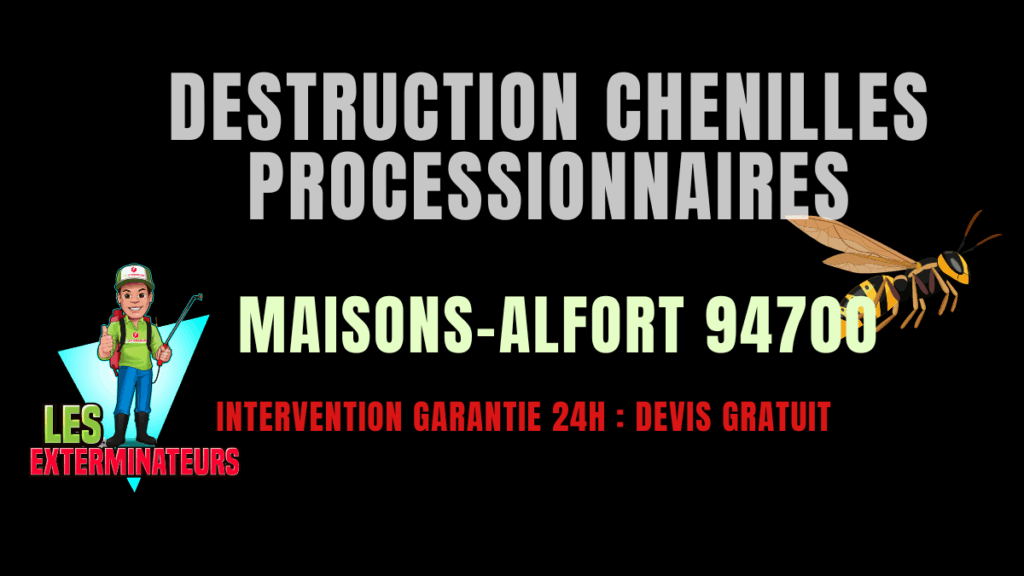 Chenilles processionnaires Maisons-Alfort