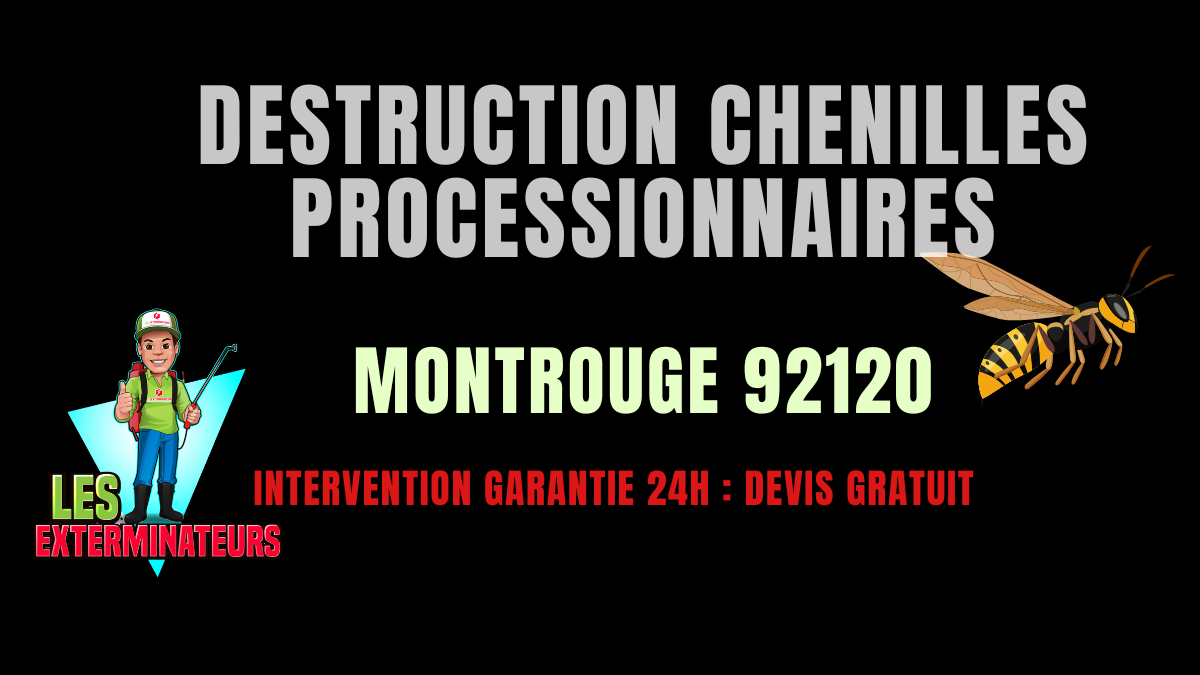 Chenilles processionnaires Montrouge