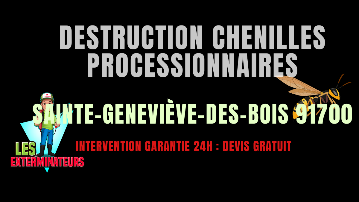 Chenilles processionnaires Sainte-Geneviève-des-Bois