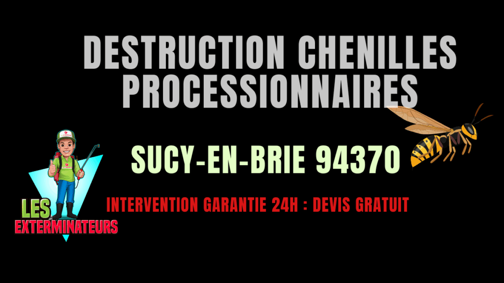 Chenilles processionnaires Sucy-en-Brie
