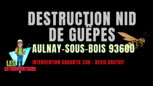 Nid de guêpes Aulnay-sous-Bois