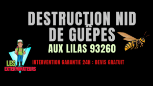 Nid de guêpes Les Lilas