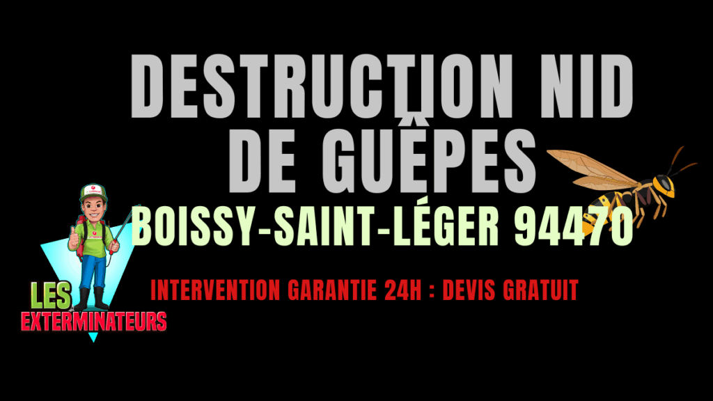 Nid de guêpes Boissy-Saint-Léger