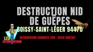 Nid de guêpes Boissy-Saint-Léger