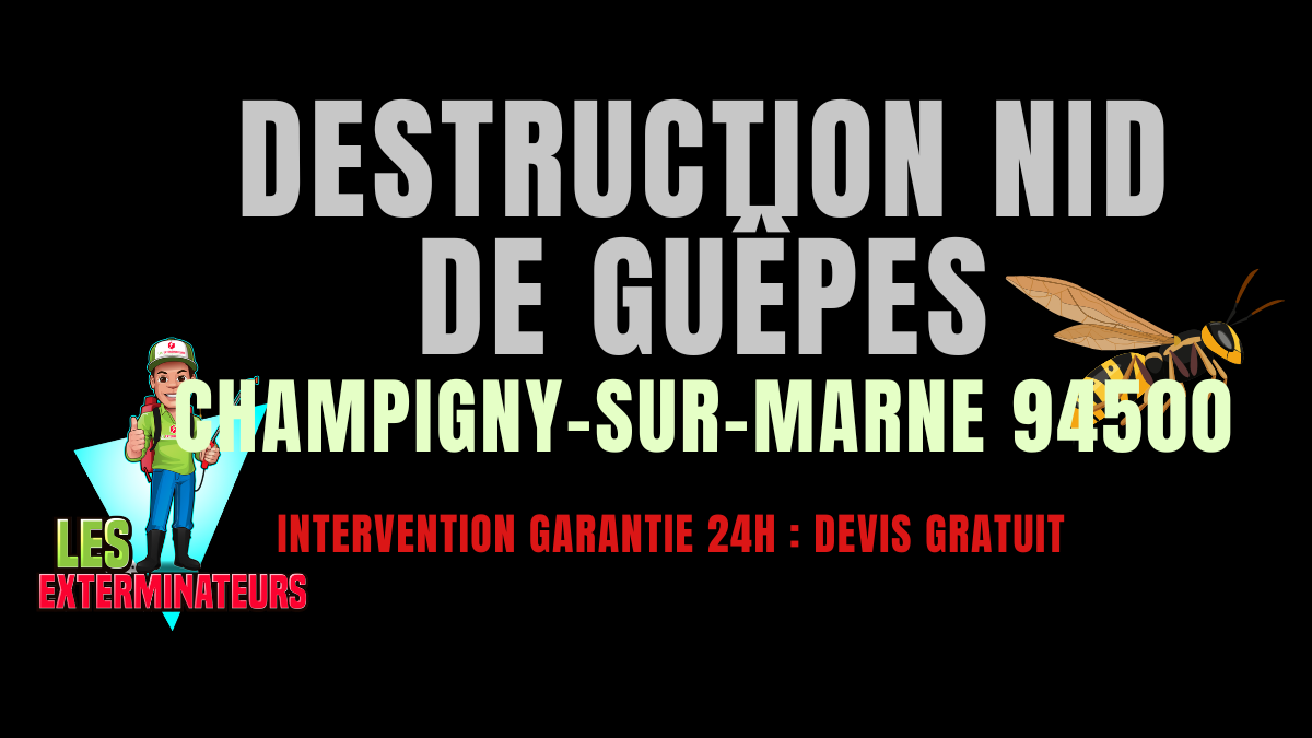 Nid de guêpes Champigny-sur-Marne