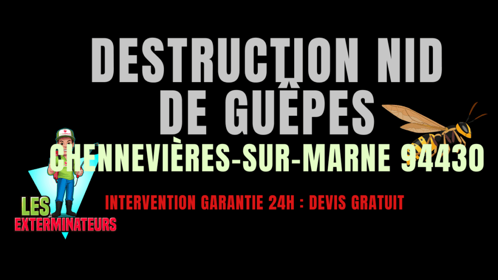 Nid de guêpes Chennevières-sur-Marne