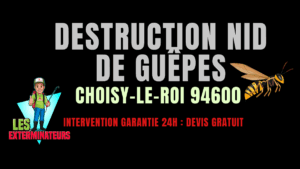 Nid de guêpes Choisy-le-Roi