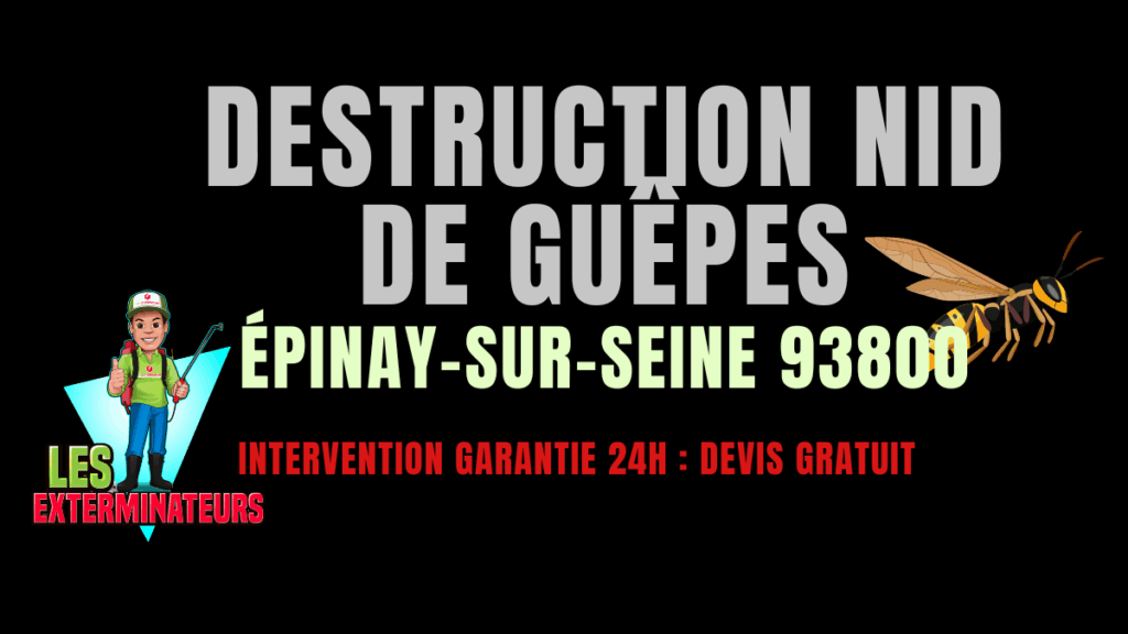 Nid de guêpes Épinay-sur-Seine