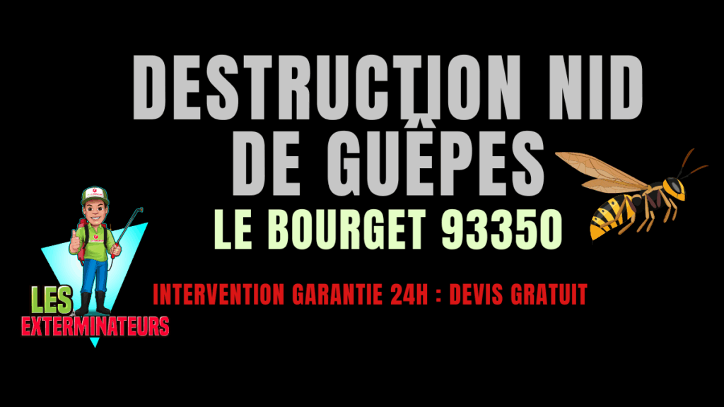 Nid de guêpes Le Bourget