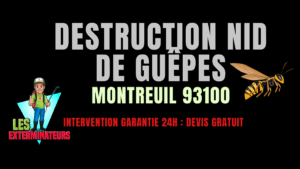 Nid de guêpes Montreuil