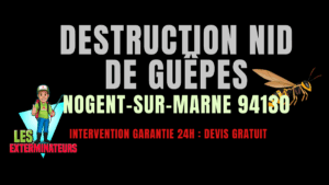 Nid de guêpes Nogent-sur-Marne