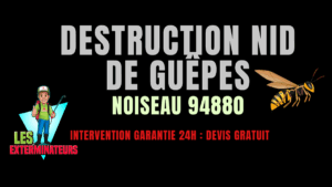 Nid de guêpes Noiseau