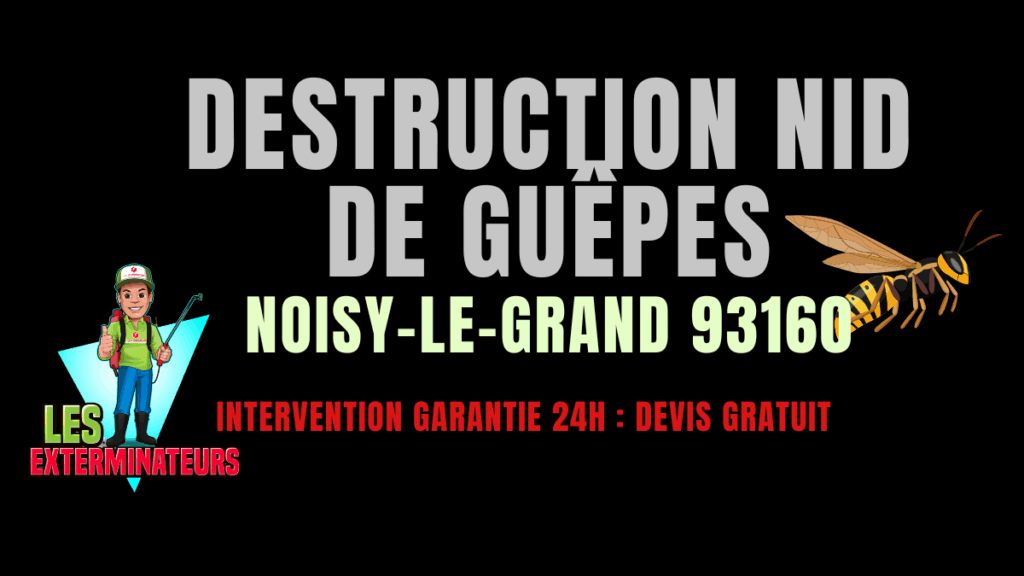 Nid de guêpes Noisy-le-Grand