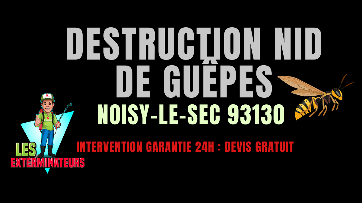 Nid de guêpes Noisy-le-Sec