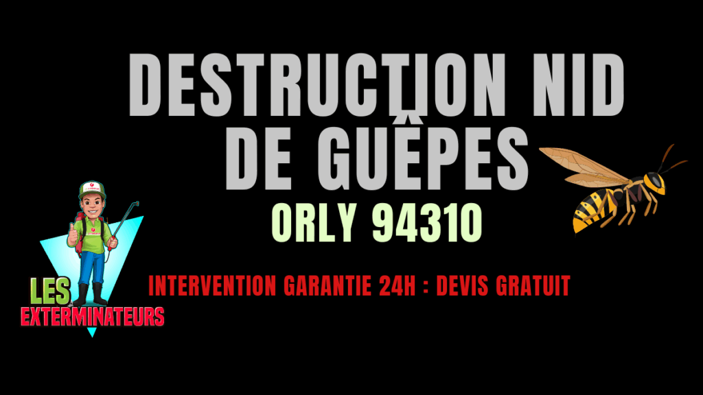 Nid de guêpes Orly